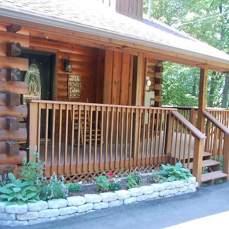 His Promises Cabin Pigeon Forge Extérieur photo